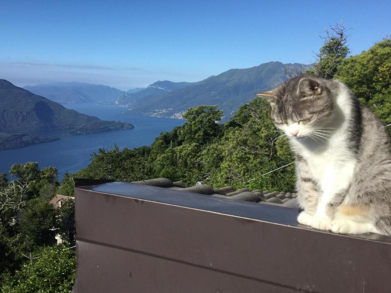 Rifugio Dalco Apartman Sorico Kültér fotó